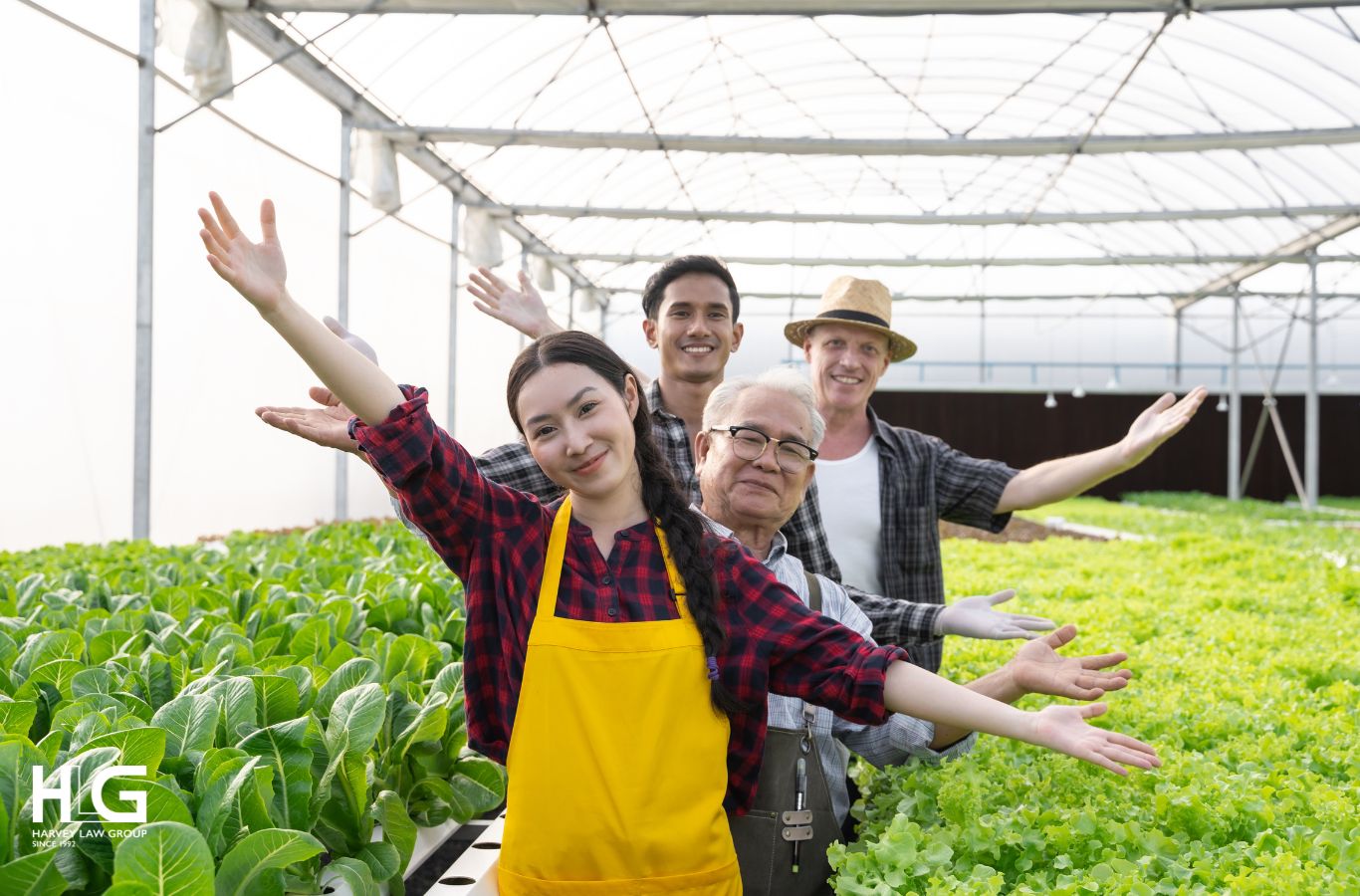 sang pháp làm việc gì