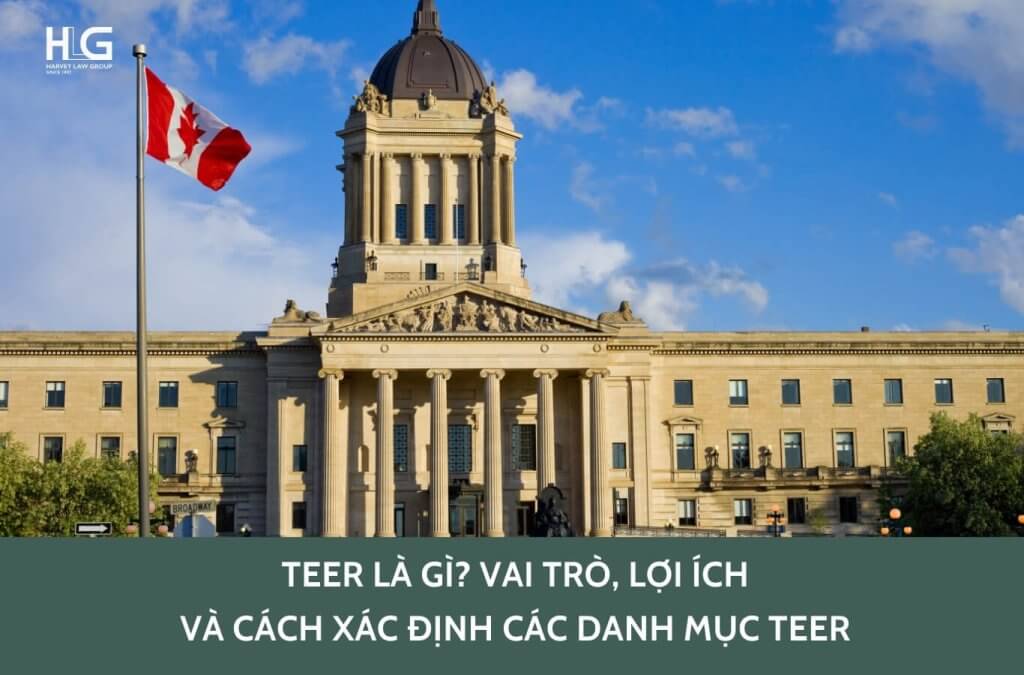 TEER là gì? Tại sao Canada phân nhóm ngành nghề theo TEER